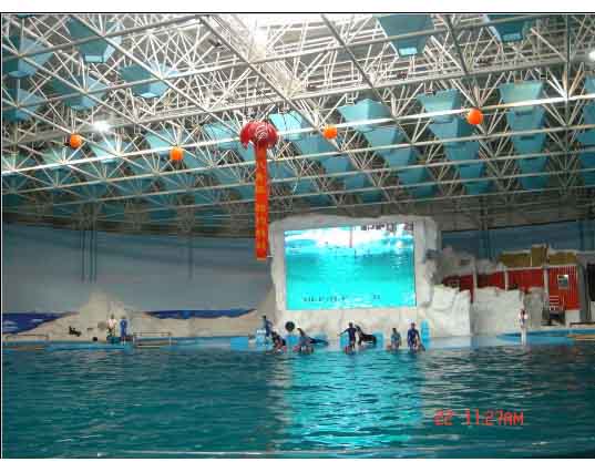 利川游泳馆螺栓球网架